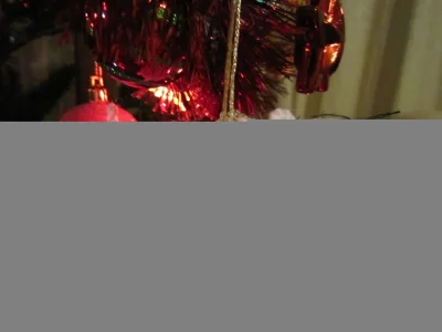 IMG_0014.webp