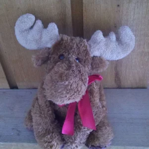 Mutchkie.webp