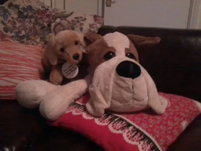 2013-01-05 02.01.18.webp