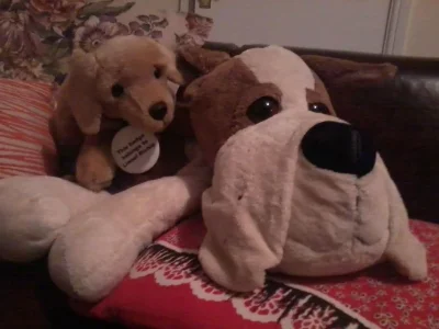 2013-01-05 02.01.33.webp