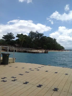 image.webp