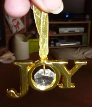 Joy.webp