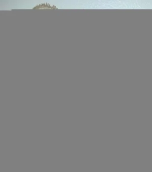 20130114_233033-1.webp