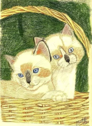 animals1.webp animals1.webp