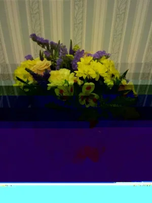 IMG_0009.webp