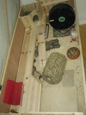 CIMG5988.webp