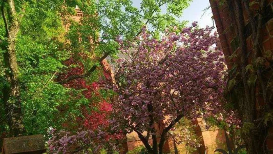 DSC_0035_klein.webp