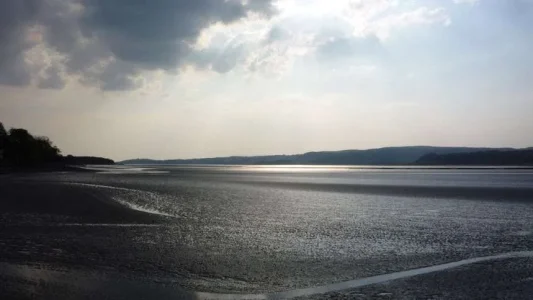 photoKent Estuary (1).webp