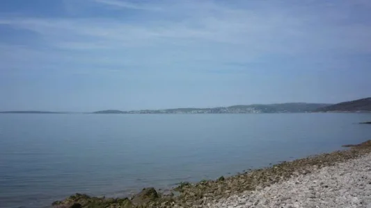 Silverdale Shore.webp