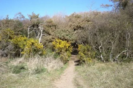 F1 Dphoto (1).webp