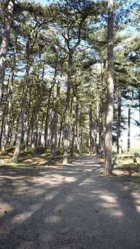 F3 Dphoto (1).webp