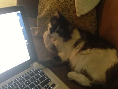 ChamkeeComputer.webp
