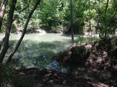 image.webp