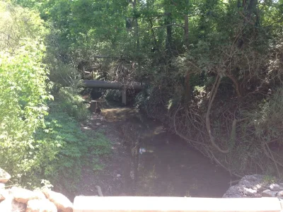 image.webp