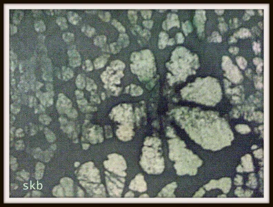 FabGreenBatik.webp