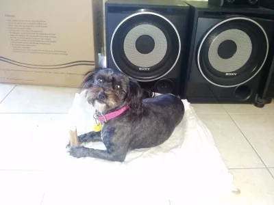 CAM00250.webp