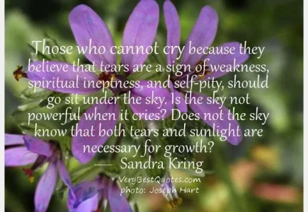 crying-quotes-weakness-quotes.webp
