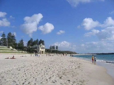 image.webp
