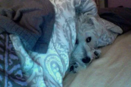 Photo on 2-5-13 at 1.20 AM.webp