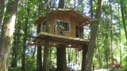 Treehouse.webp