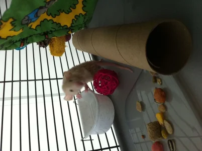 image-5 copy 2.webp