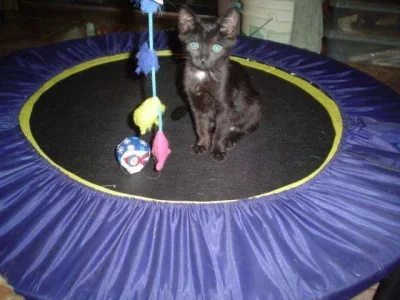 Crystal, 9 Weeks.webp