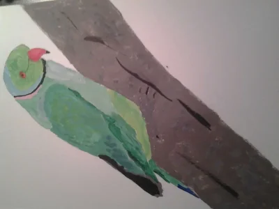 parakeet2.webp