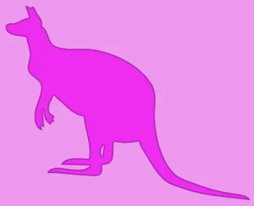 kangaroo-contour.webp