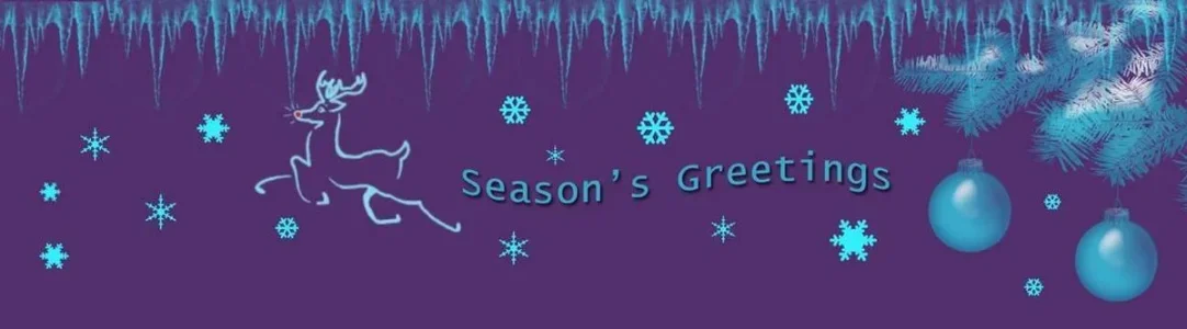 Xmas Banner_small file.webp