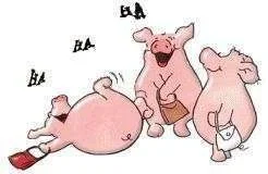 pigs.webp