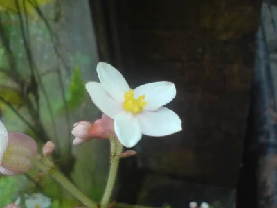 DSC00682.webp