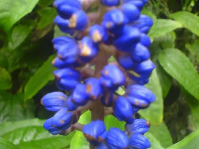 DSC00679.webp