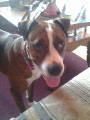 Bristol happy face.webp