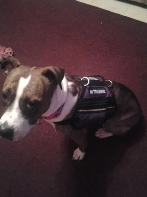 bristol vest2.webp