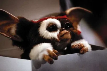 Gizmo-gizmo-6068660-500-333.webp Gizmo-gizmo-6068660-500-333.webp