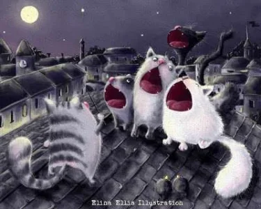 singing cats.webp