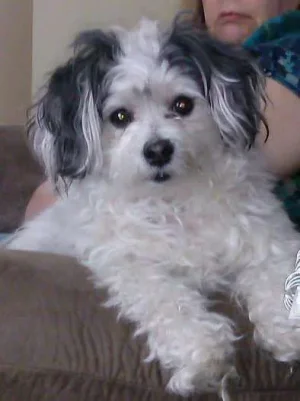 Princess Tia.webp