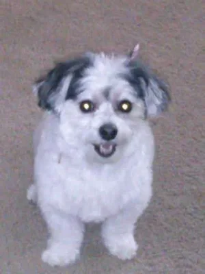Tia after hair cut.webp