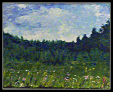 Bills and Sheilas Flower Field.webp