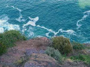 seacliff.webp
