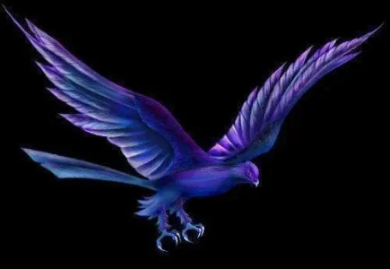 night-hawk-small.webp