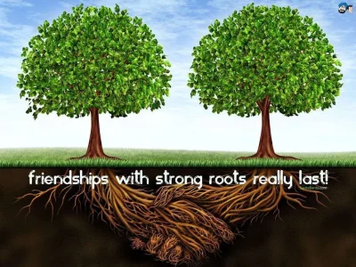 friendship-56v.webp