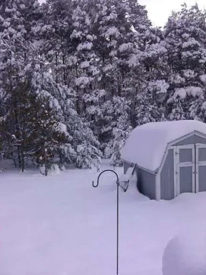 nov 2014 snow.webp