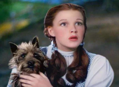 toto.webp