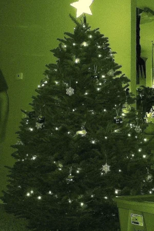 IMG_0447.webp