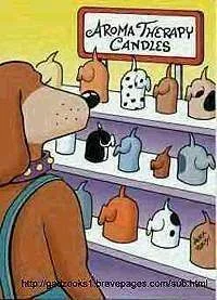 i-bcbfd4dca7436f19b55a2dd8e471ece3-dog-candles.webp