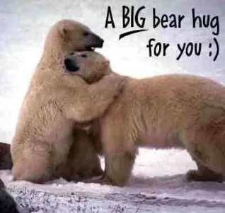 1285005638-bear_hug.webp