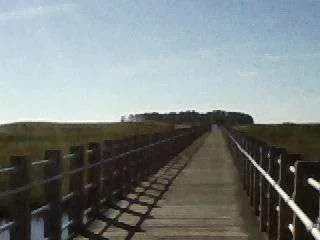 P082914_0857[01].webp