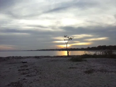 CAM00072.webp