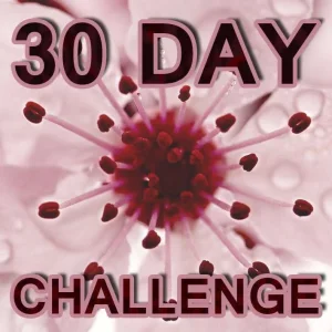 30.webp